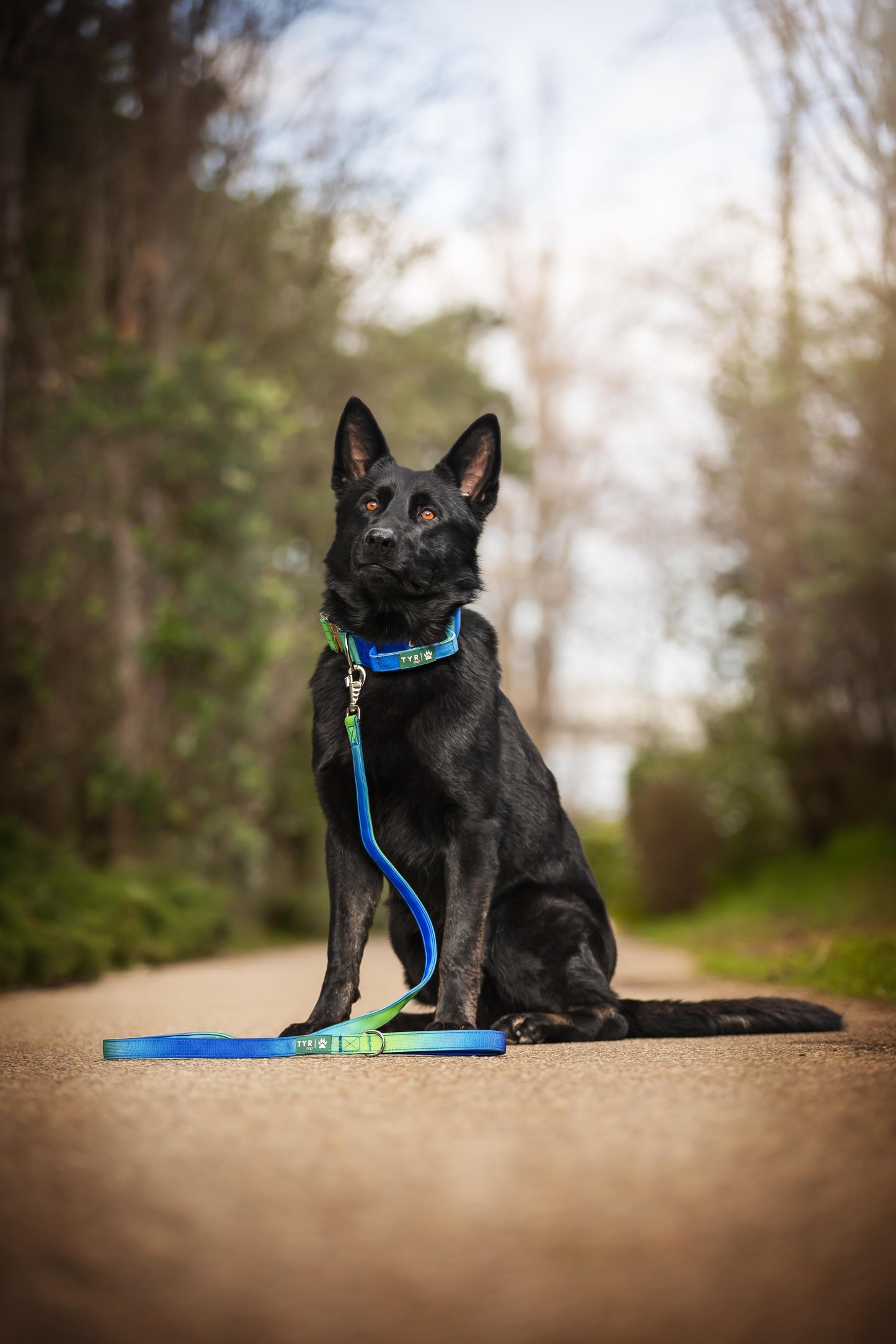 Set Collar/Leash Model Chic
