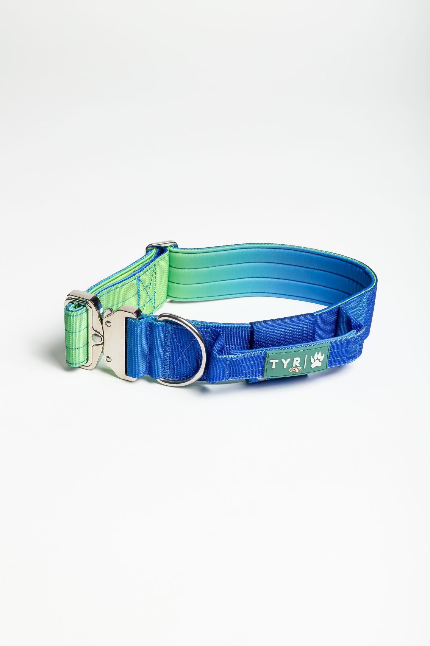 Set Collar/Leash Model Chic