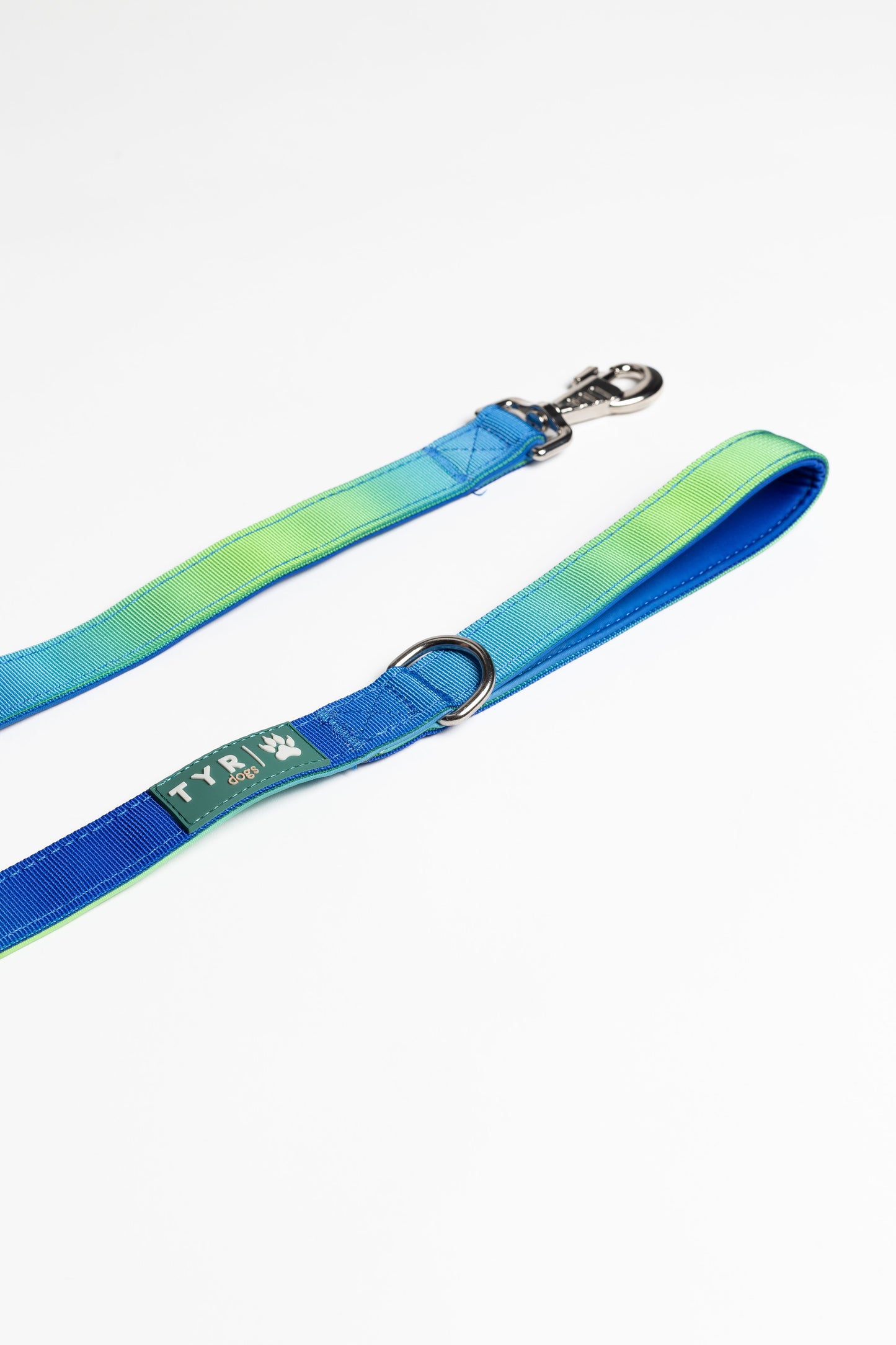 Set Collar/Leash Model Chic